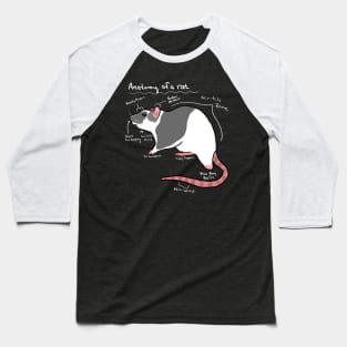 Anatomy of a rat Baseball T-Shirt